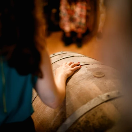 Tra Storia e Futuro: Degustazione Vini e Light Lunch/Dinner sulle Colline del Garda 6